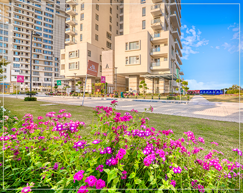 pioneer araya you tube