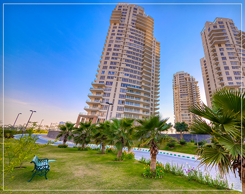 pioneer presidia pictures